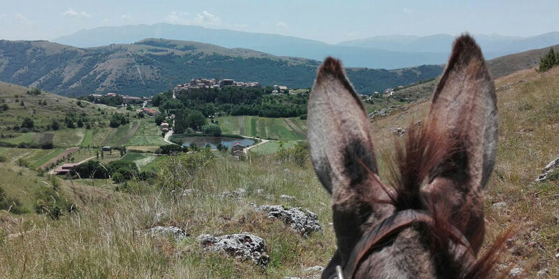 Trekking someggiato Abruzzo Gira e Rigira