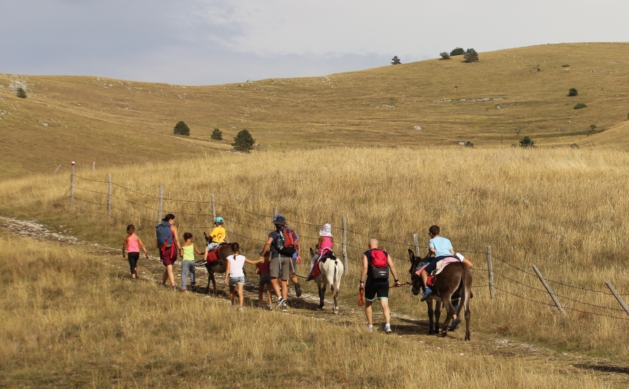 trekking con asini abruzzo