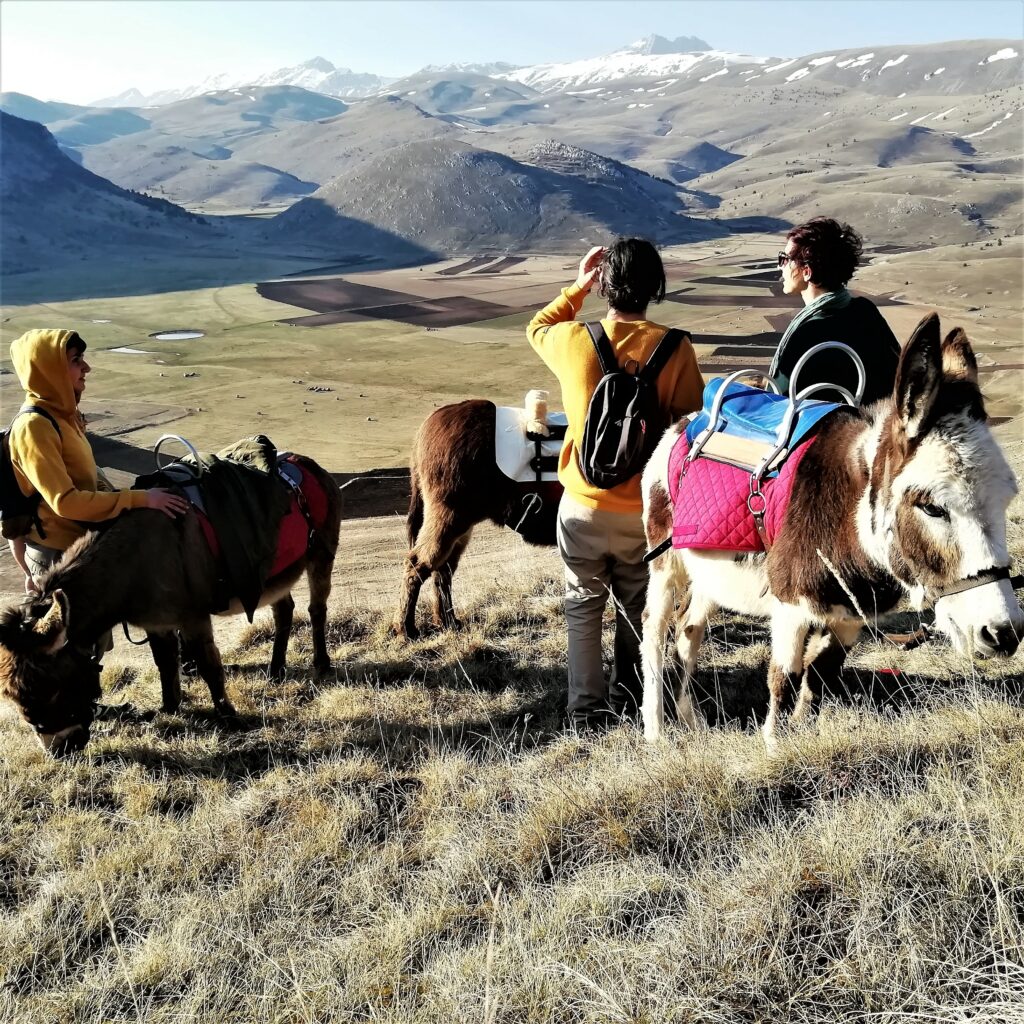 terre della baronia