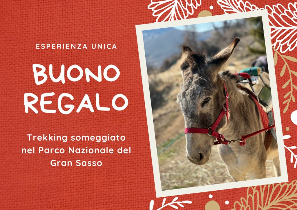 Buono regalo