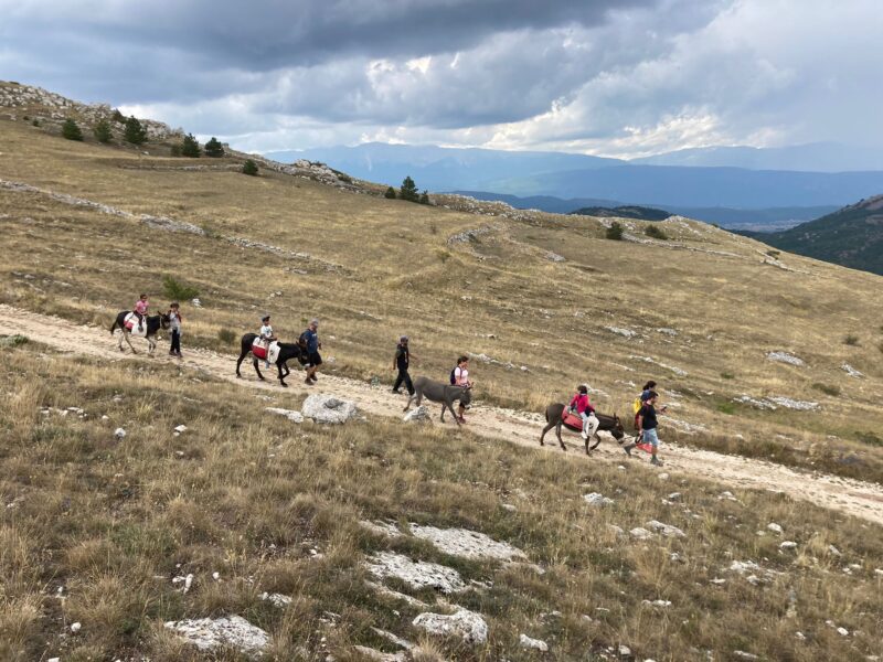 programma luglio